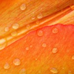 arancione