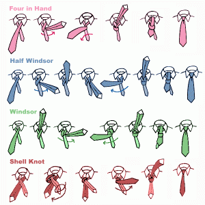 Vari tipi di nodi per cravatta: Four in Hand, HAlf Windsor, Windsor, Shell Knot