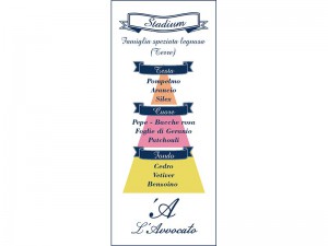 Piramide Olfattiva "Stadium". Famiglia speziata legnosa. Testa: Pompelmo, Arancio, Silex. Cuore: Pepe, Bacche rosa, Foglie di Geranio, Patchouly. Coda: Cedro, Vetiver, Benzoino.