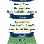 Piramide Olfattiva Ventus- Note di testa: ribes nero, bergamotto italiano, mela bianca della varietà Calvilla e ananas. Note di cuore: bouquet di rosa unito alla betulla, gelsomino del Marocco e accenti di patchouli. Note di coda: musk, muschio di quercia, ambra grigia e vaniglia.