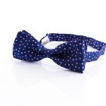 Papillon Tassilo Blu Zaffiro