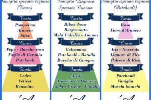 Alberi Olfattivi Profumi L'AVVOCATO