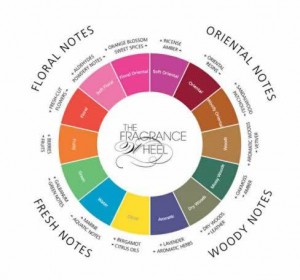 ruota-delle-fragramze-